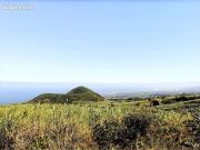 Vente Maison 5 pièces 124 m2 Petite ile