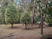 Vente Maison 5 pièces 130 m2 Saint Clément de Rivière