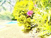 Vente Maison 5 pièces 97 m2 Roquefort les Pins