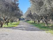 Vente Maison 5 pièces 162 m2 Bagnols en Forêt