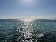 Vente Maison 5 pièces 171 m2 Sainte Anne