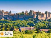 Vente Maison 5 pièces 183 m2 Carcassonne