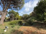 Vente Maison 5 pièces 193 m2 Narbonne