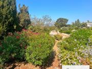 Vente Maison 5 pièces 76 m2 Grosseto Prugna
