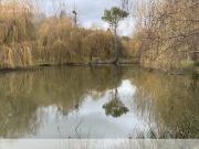 Vente Maison 5 pièces 93 m2 Talmont Saint Hilaire