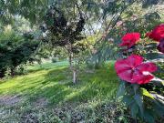 Vente Maison 6 pièces 125 m2 Coudroy