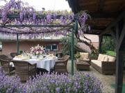 Vente Maison 6 pièces 130 m2 Haguenau