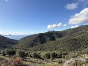 Vente Maison 6 pièces 130 m2 Partinello