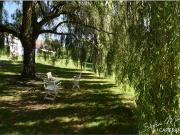 Vente Maison 6 pièces 143 m2 Chassignolles