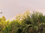 Vente Maison 6 pièces 165 m2 Sevres