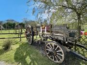 Vente Maison 6 pièces 174 m2 Bournonville