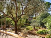 Vente Maison 6 pièces 188 m2 Lorgues