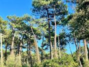 Vente Maison 6 pièces 170 m2 Anglet