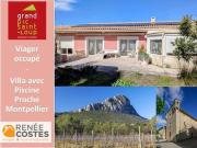 Vente Maison 6 pièces 202 m2 Montpellier