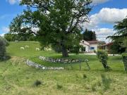 Vente Maison 6 pièces 230 m2 Tournay