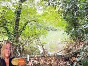 Vente Maison 7 pièces 117 m2 Le Mans