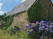 Vente Maison 7 pièces 147 m2 Camlez