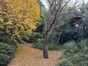 Vente Maison 7 pièces 170 m2 Beziers