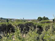 Vente Maison 7 pièces 170 m2 Frejus