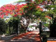 Vente Maison 7 pièces 170 m2 La Montagne