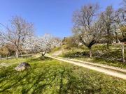 Vente Maison 7 pièces 172 m2 Châteauneuf sur Cher