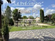 Vente Maison 7 pièces 175 m2 Férolles