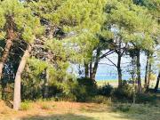 Vente Maison 7 pièces 198 m2 Le Verdon sur Mer