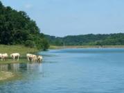 Vente Maison 7 pièces 200 m2 Garlin