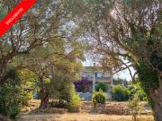 Vente Maison 7 pièces 205 m2 Antibes