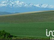 Vente Maison 7 pièces 210 m2 Orthez