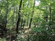 Vente Maison 7 pièces 212.14 m2 Joue les tours