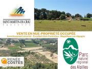 Vente Maison 7 pièces 223 m2 Saint Martin de Crau