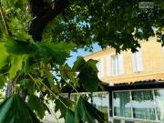 Vente Maison 7 pièces 235 m2 Saint Emilion