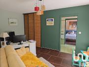 Vente Maison 7 pièces 243 m2 Biscarrosse