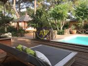 Vente Maison 7 pièces 250 m2 Lacanau