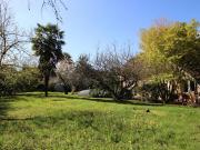 Vente Maison 7 pièces 253 m2 Mirepeix