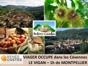 Vente Maison 7 pièces 262 m2 Montpellier