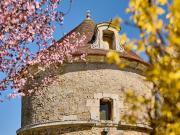 Vente Maison 7 pièces 350 m2 Auxerre