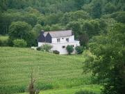 Vente Maison 8 pièces 180 m2 Guiscriff