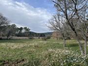 Vente Maison 8 pièces 180 m2 Nans les Pins