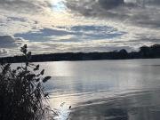 Vente Maison 8 pièces 198 m2 Ballan Miré