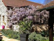 Vente Maison 8 pièces 210 m2 Sarrazac