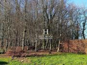 Vente Maison 8 pièces 230 m2 Alembon