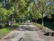 Vente Maison 8 pièces 273 m2 Chasselay