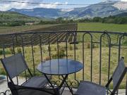 Vente Maison 8 pièces 283 m2 Menglon