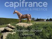 Vente Maison 8 pièces 310 m2 Saint Christophe des Bardes