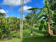 Vente Maison 8 pièces 340 m2 Petit bourg