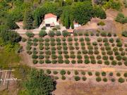 Vente Maison 9 pièces 170 m2 Lorgues