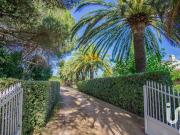 Vente Maison 9 pièces 251 m2 Frejus