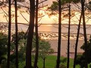 Vente Maison 9 pièces 255 m2 Arcachon